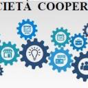 3D Soc. Coop.