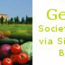GEMINO Soc. Coop.