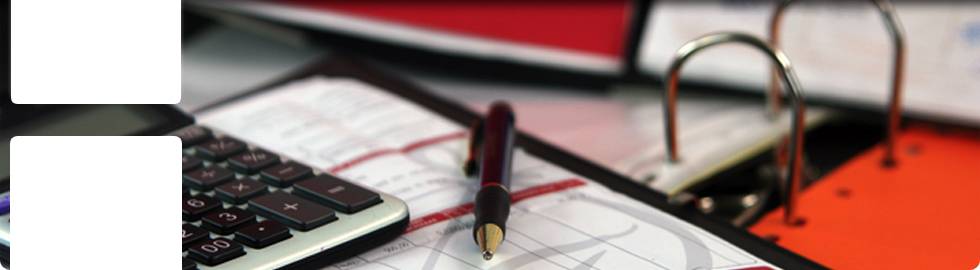 Assistenza finanziaria, accesso al credito e consulenza in ambito di contributi pubblici