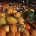 ACQUISTI ON LINE - Gemino Soc. Coop.